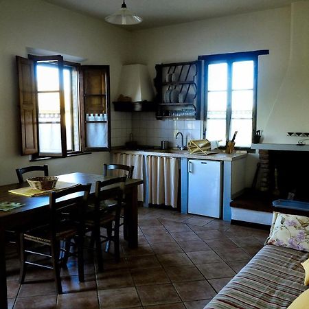 Agriturismo Il Sole Verde Bucine Bagian luar foto