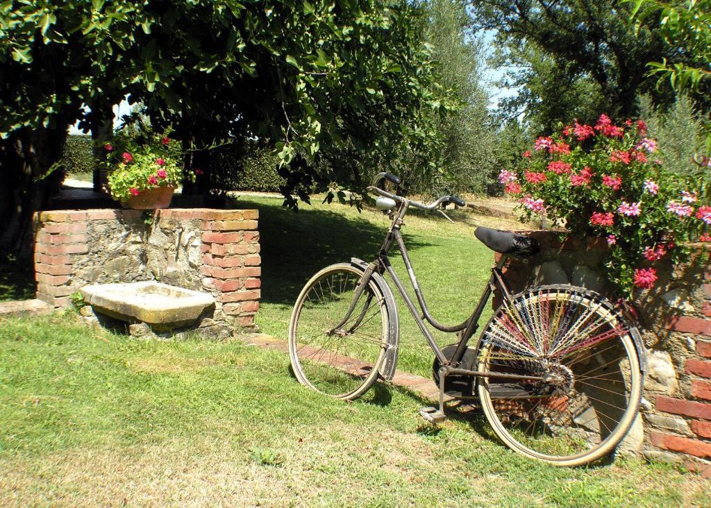 Agriturismo Il Sole Verde Bucine Bagian luar foto