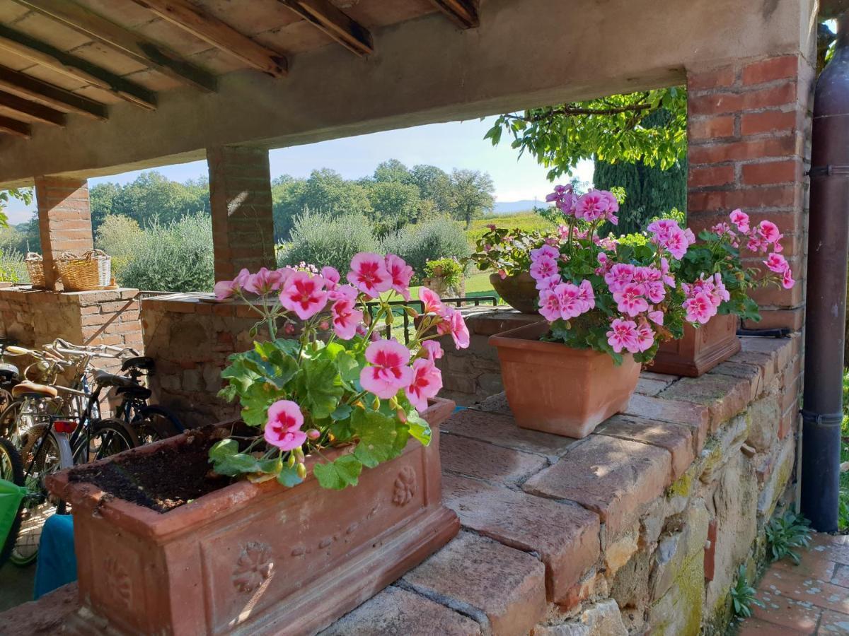 Agriturismo Il Sole Verde Bucine Bagian luar foto