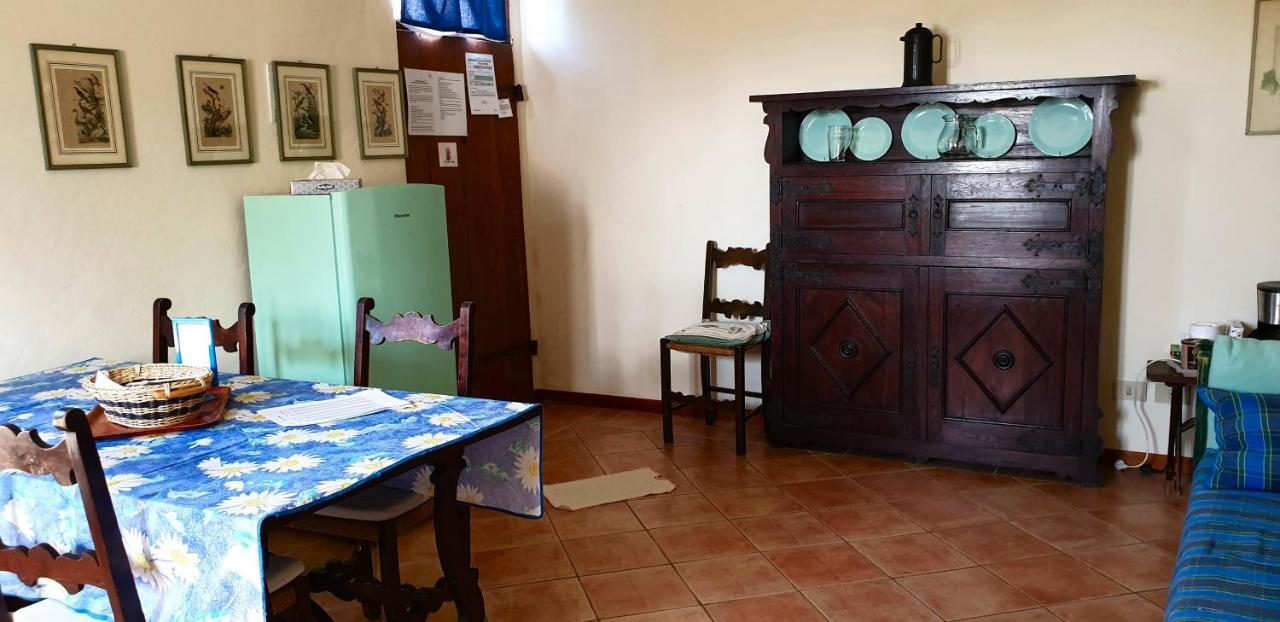 Agriturismo Il Sole Verde Bucine Bagian luar foto