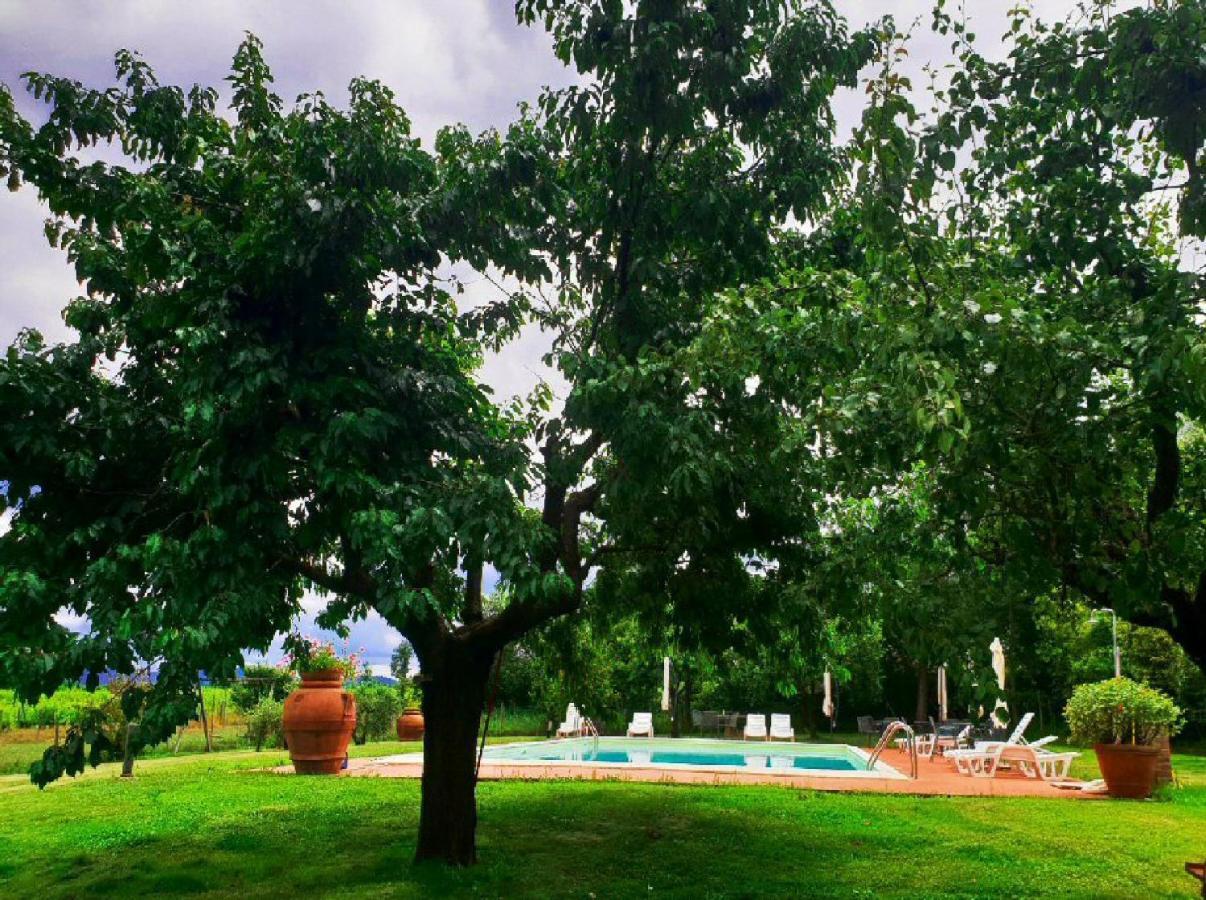 Agriturismo Il Sole Verde Bucine Bagian luar foto